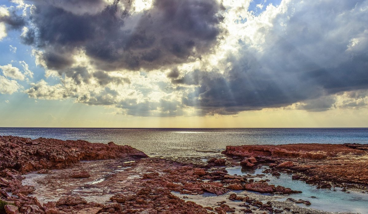 Spotting Common Seabirds from Cliff-Top Viewpoints